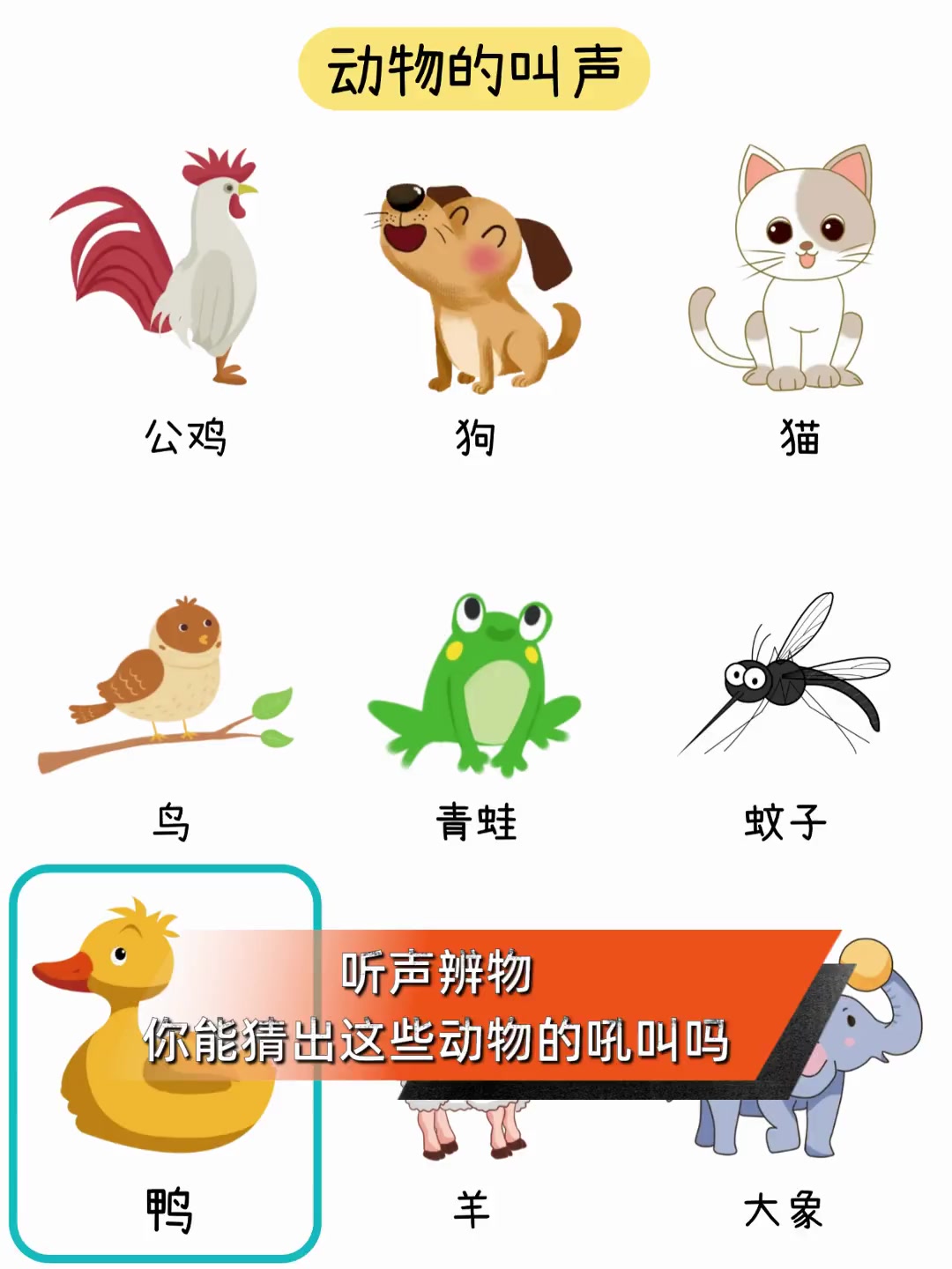 备多力分猜一动物,备多什么什么的成语