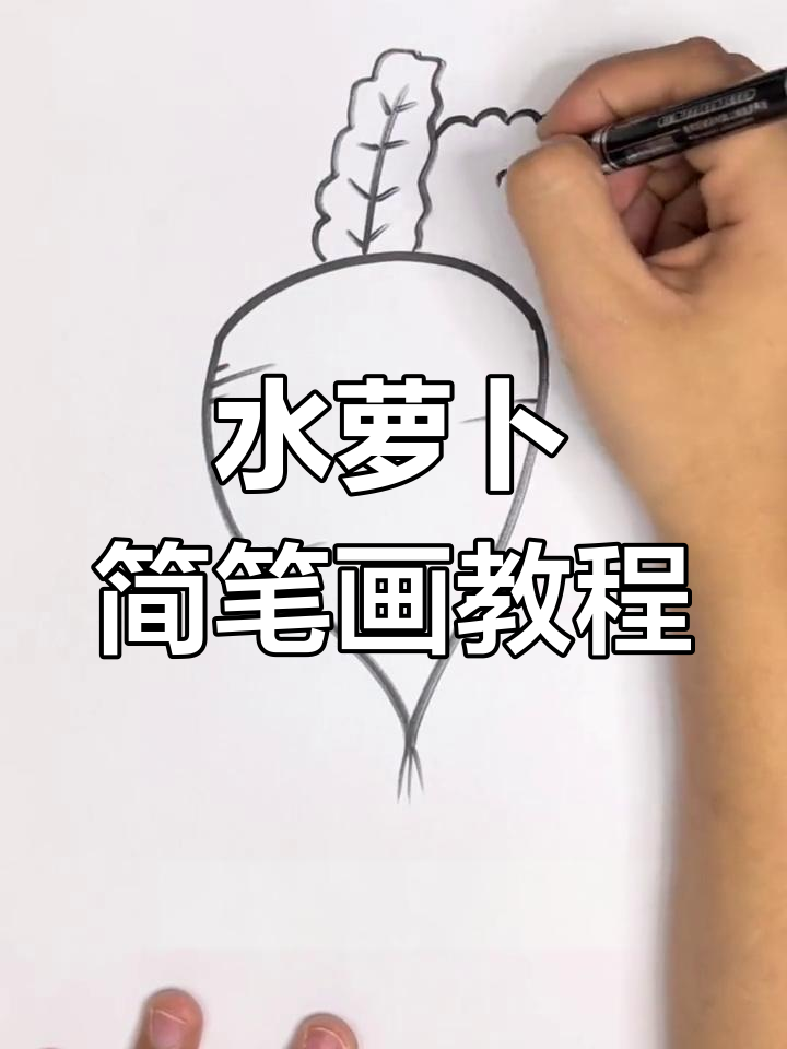 轻松学画水萝卜,步骤简单又有趣