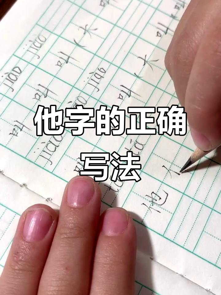 一年级语文"他"字写法技巧解析,轻松掌握笔画顺序