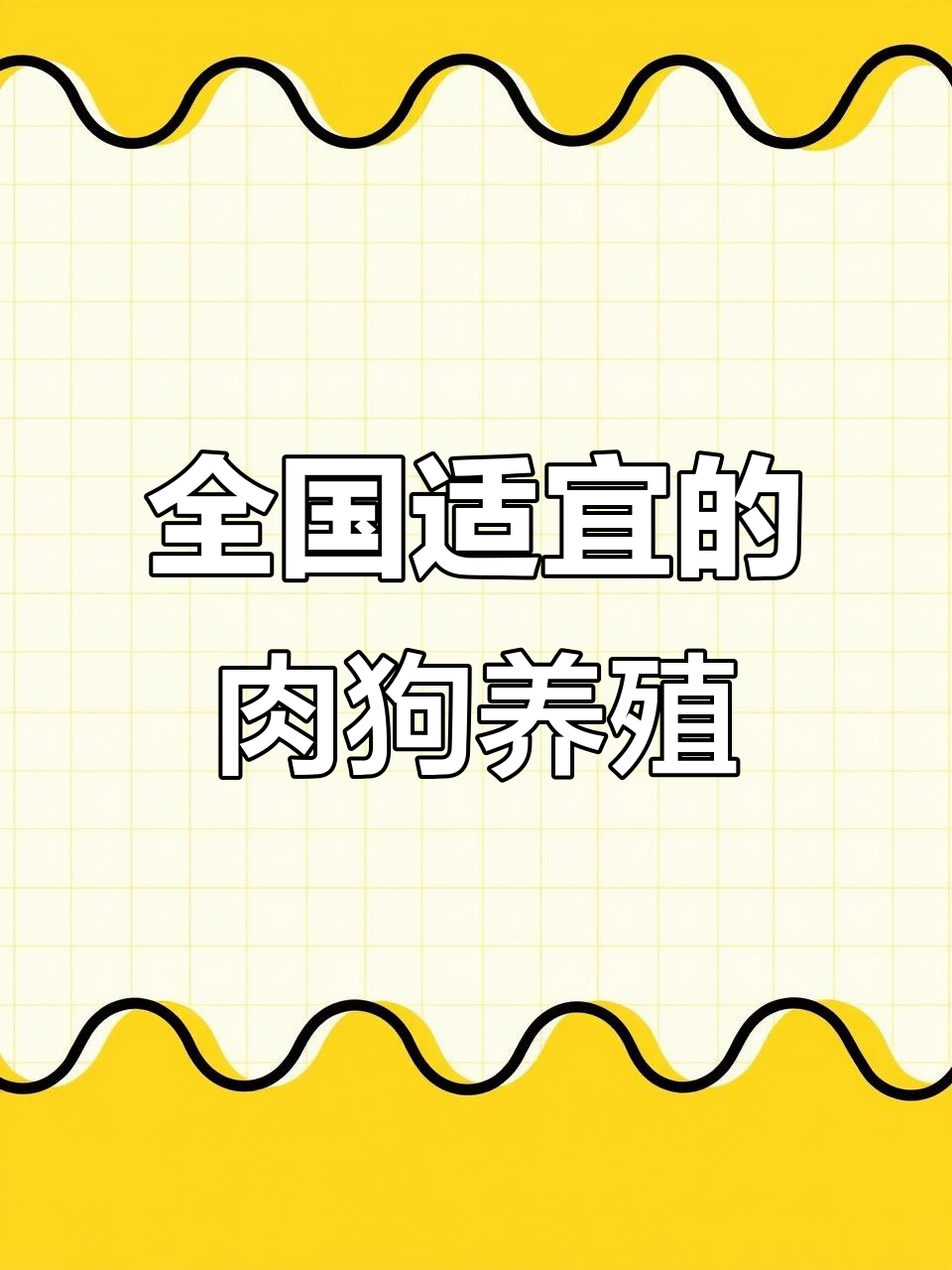 新型致富项目名称(2020年最新致富项目)