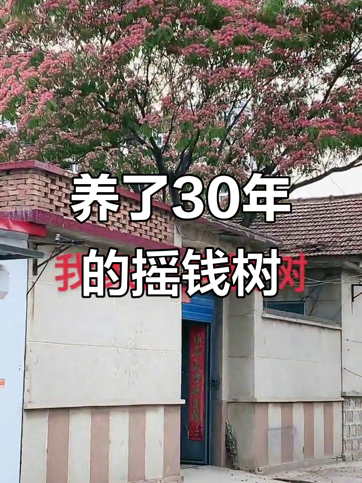 小生意一年赚20万少吗(小生意一年赚20万少吗知乎)