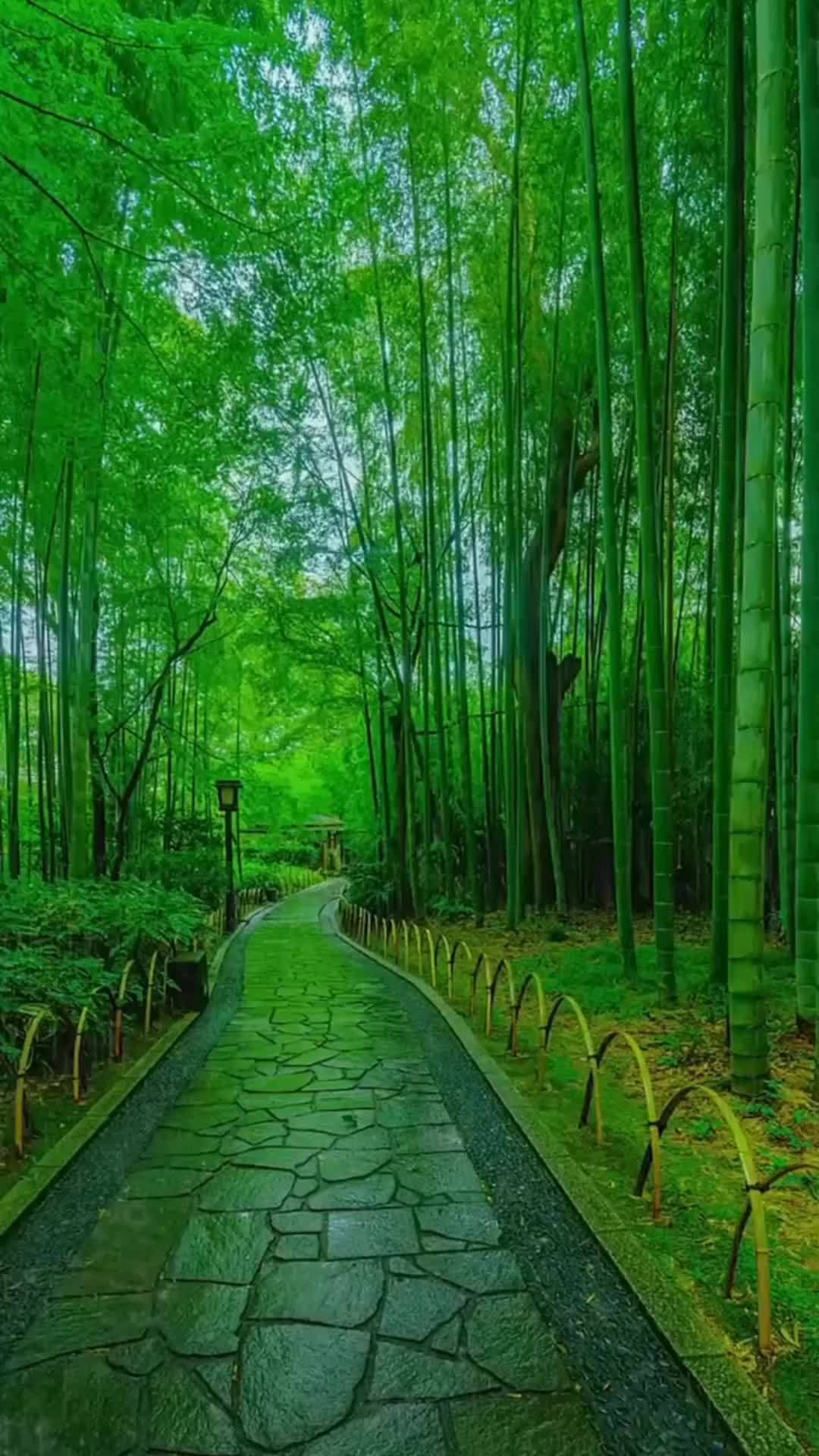 大自然风景 最美图片