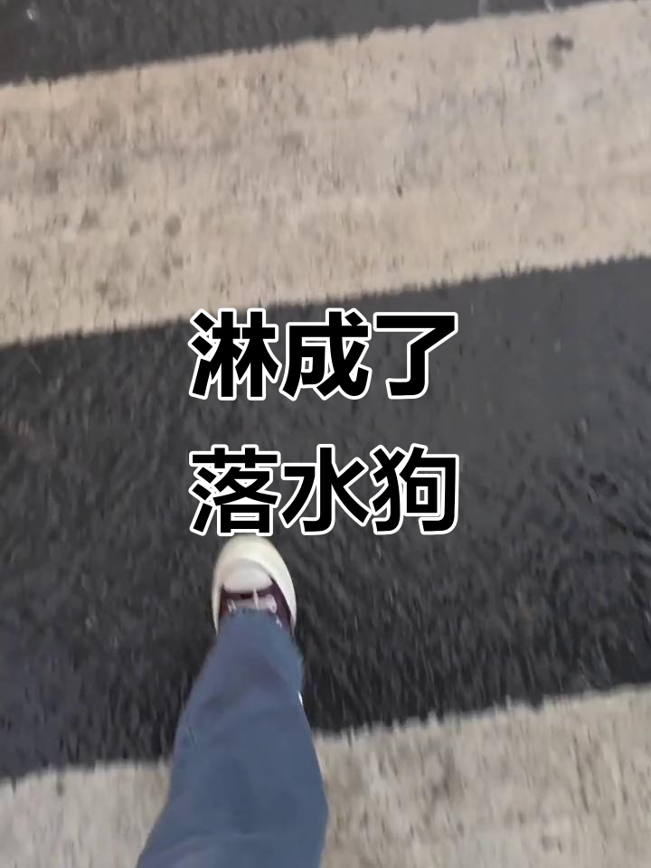 被雨淋成落汤狗,简直惨不忍睹!