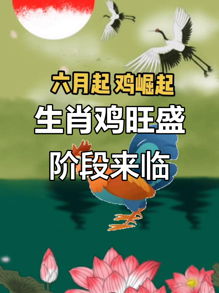 生肖鸡总运势怎么样啊(鸡生肖的运势)