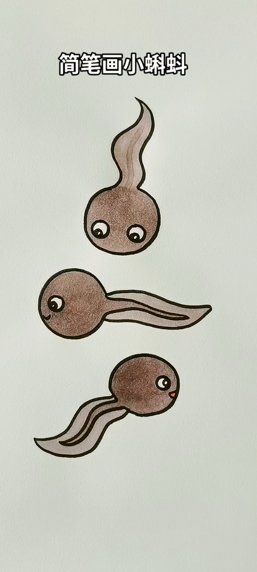 蝌蚪的简笔画 幼儿图片