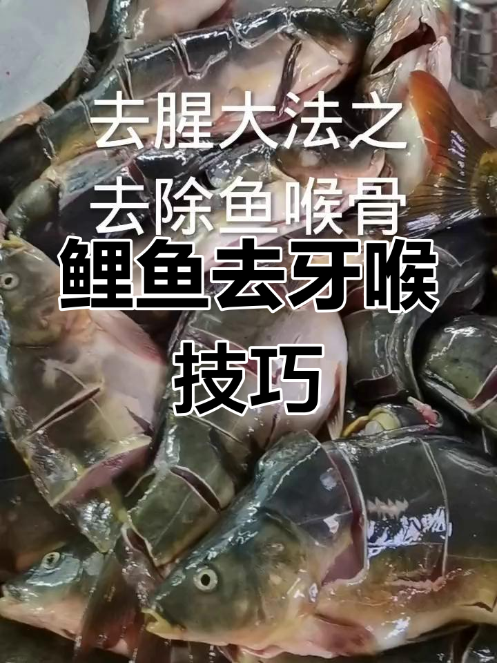 如何轻松去除鲤鱼牙和喉骨?步骤详解