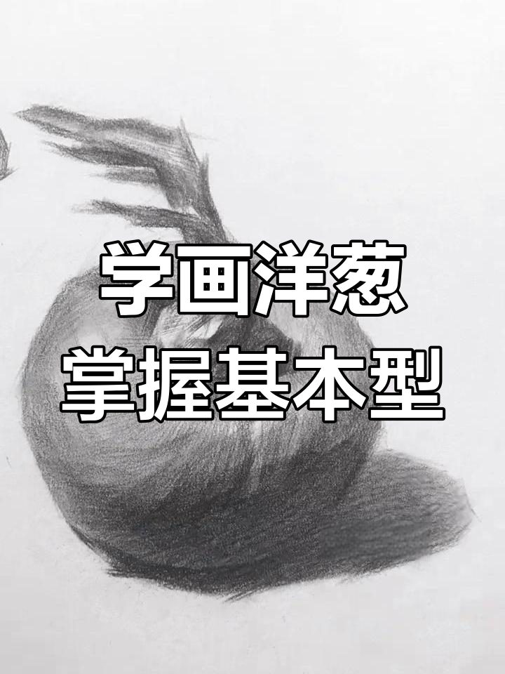 洋葱素描技巧:如何画出苹果家族的精髓
