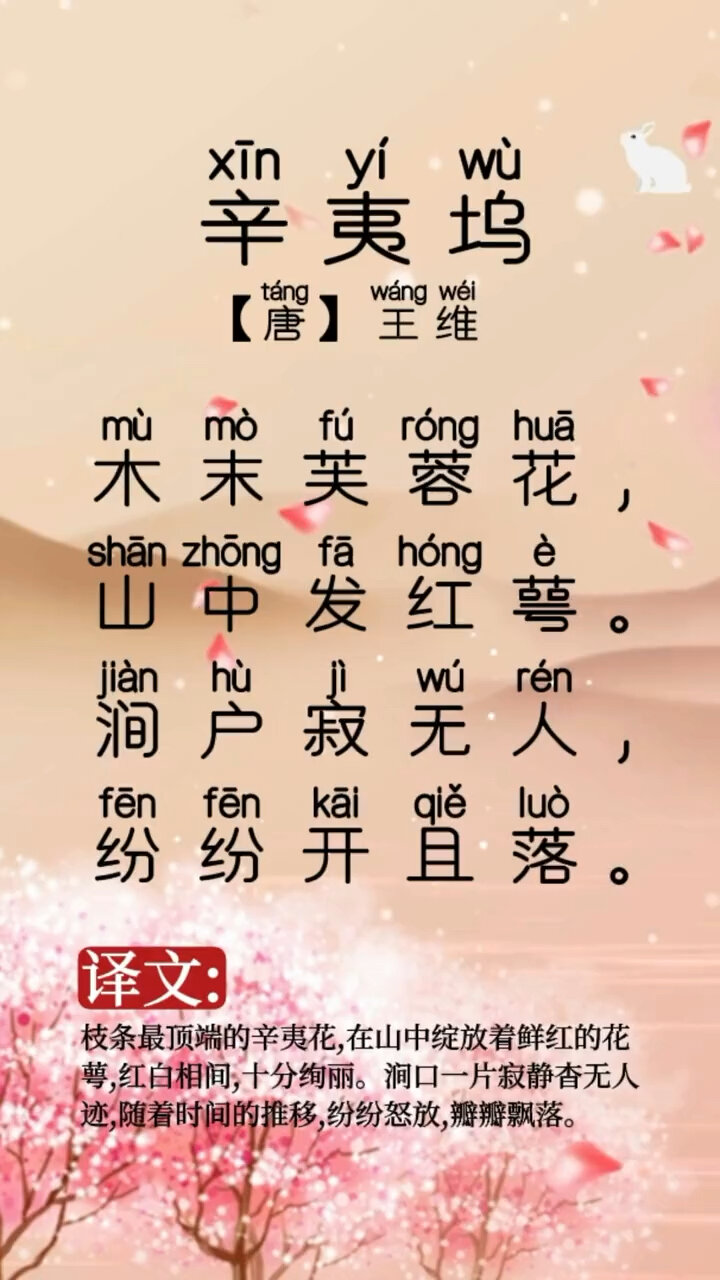 《辛夷坞》古诗