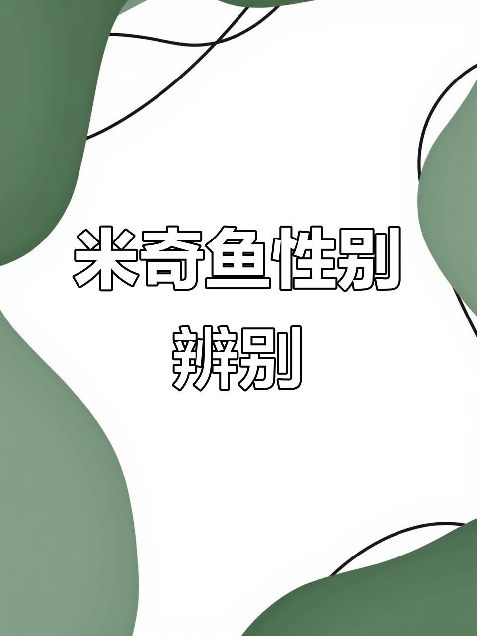 30秒学会分辨米奇鱼公母,轻松搞定!