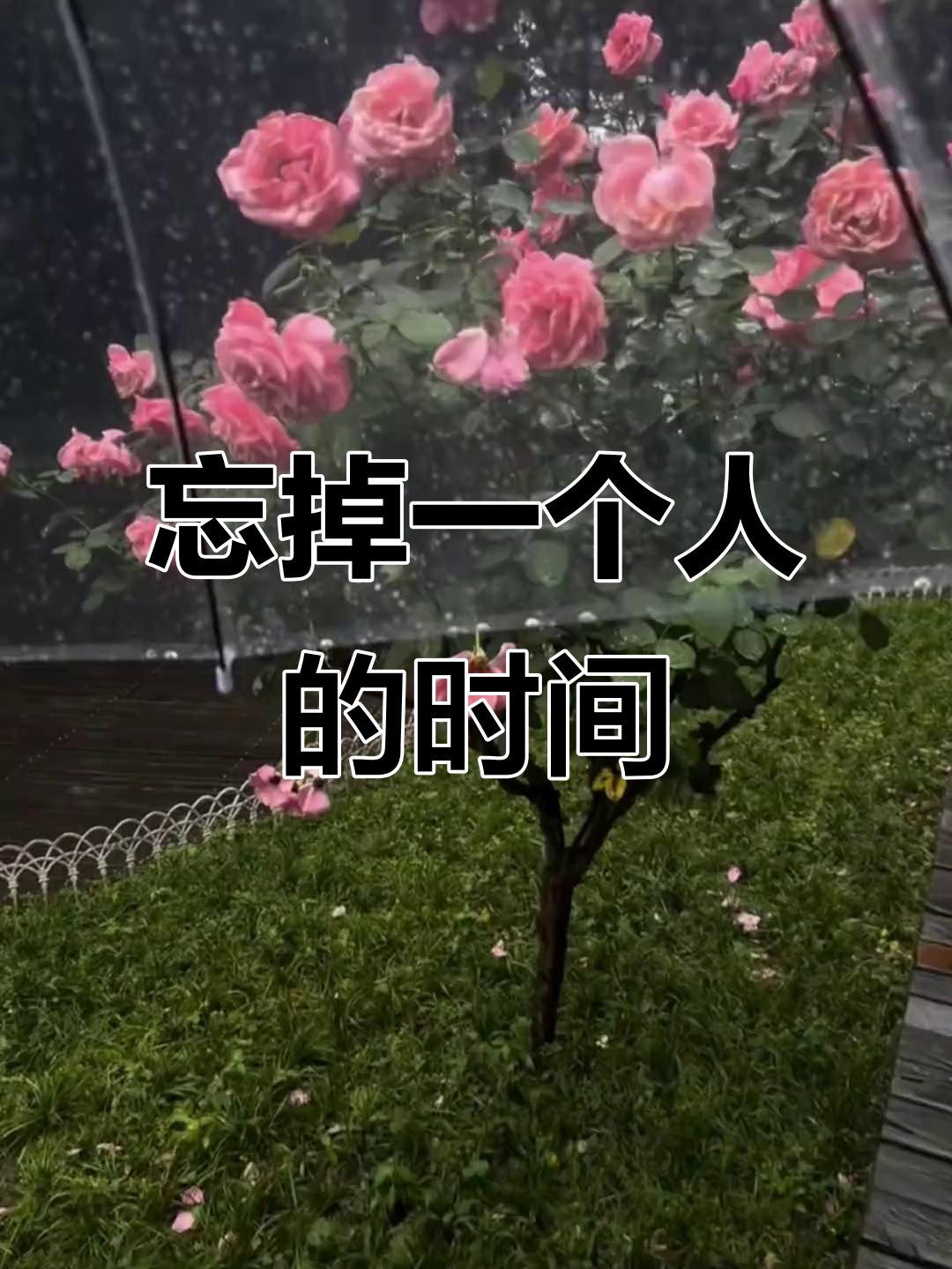 忘记一个人需要多久?三天,三个月还是三年,哪个才是答案