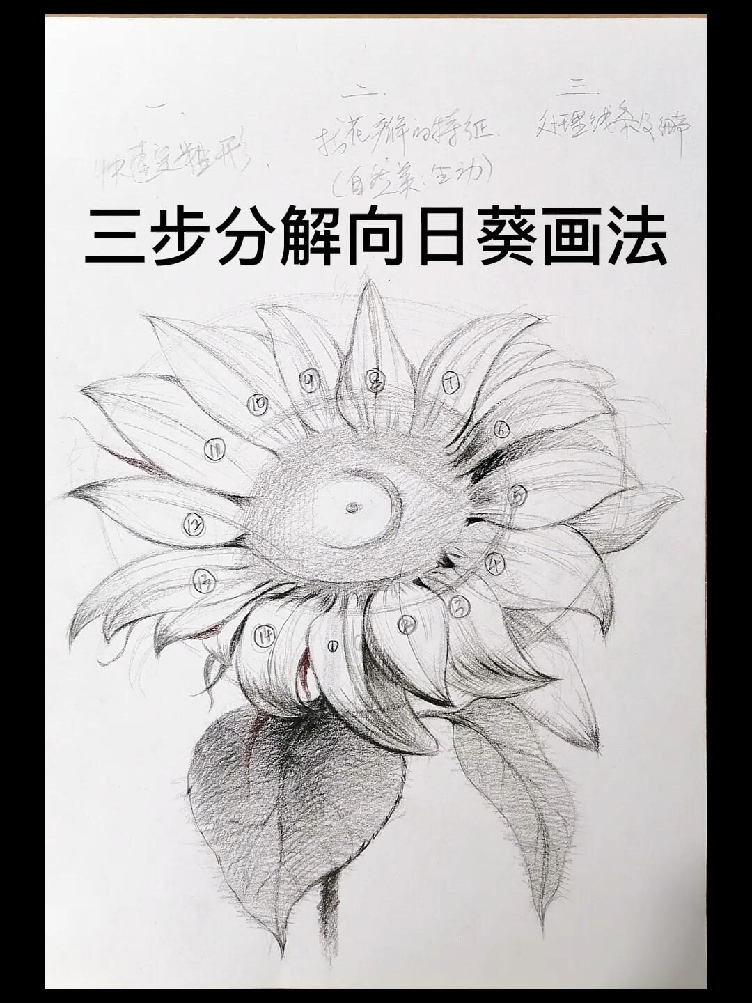 向日葵画法三步分解