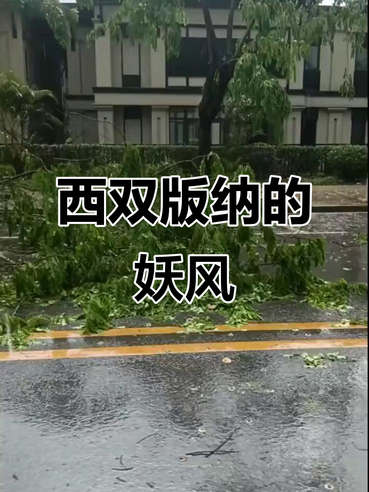 西双版纳妖风来袭,狂风暴雨中的生活随拍