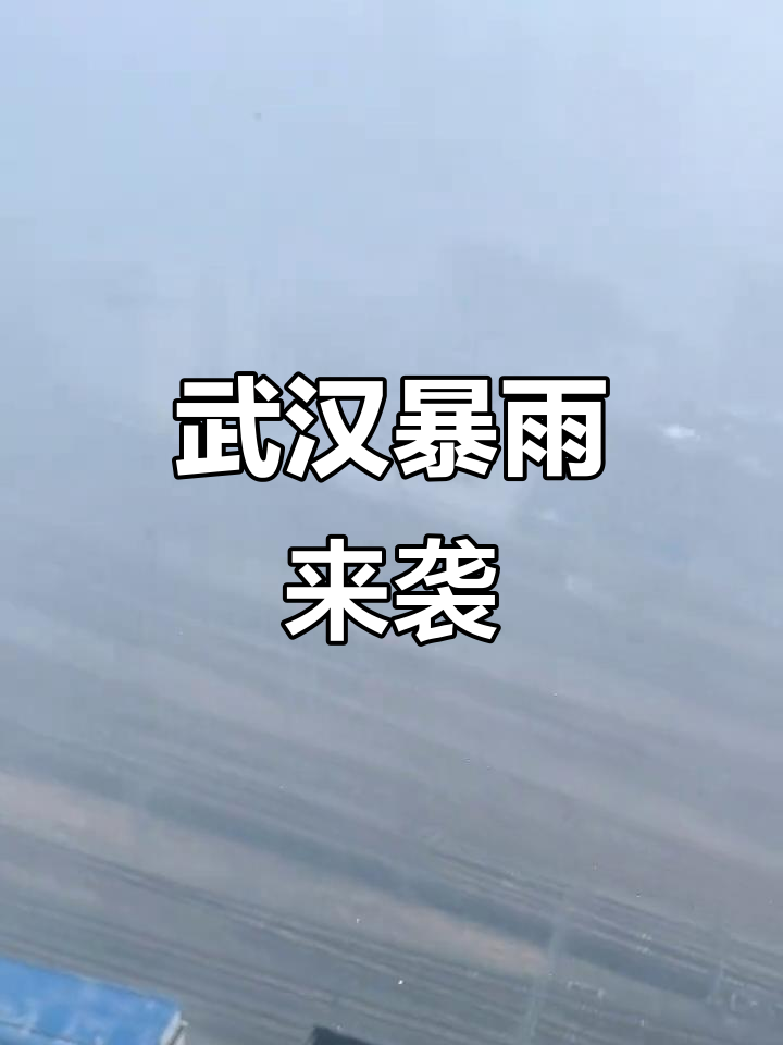 武汉天气天气大全