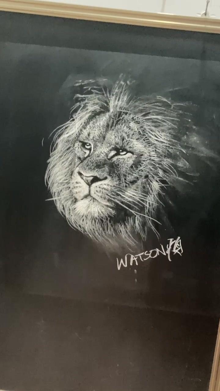 黑板粉笔画狮子不难吧 粉笔画 素描动物 这是粉笔作画的天花板吧 黑板