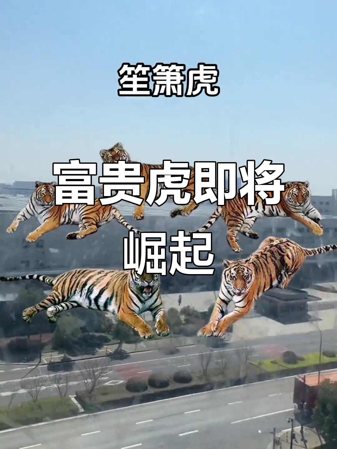 生肖虎未来7天运势如何(属虎未来一周运势)