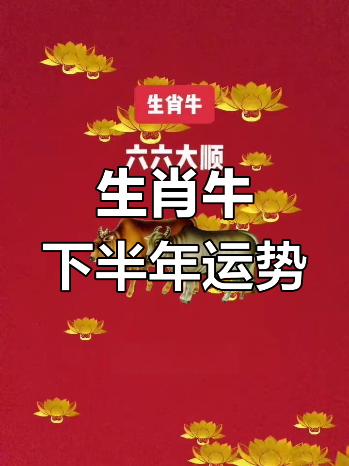 生肖牛的爱情运势如何(属牛爱情观)
