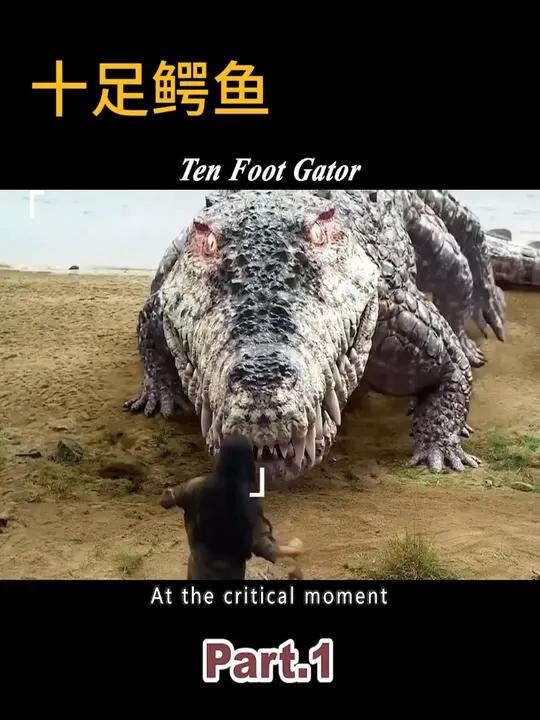 十足巨鳄 a giant crocodile with ten legs and two bites of