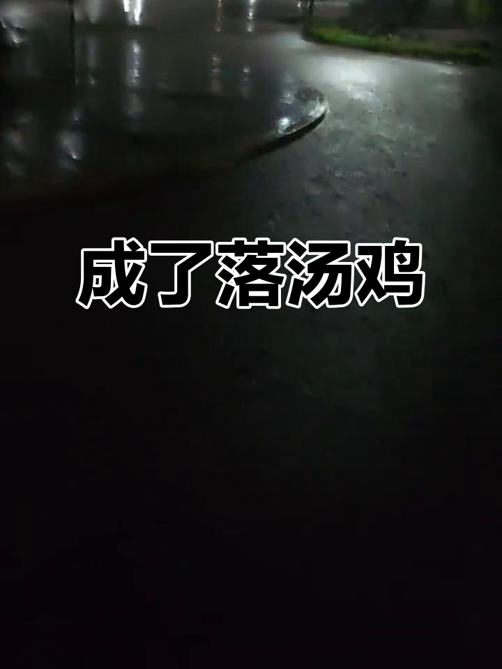 被雨淋成落汤鸡,全身湿透真狼狈