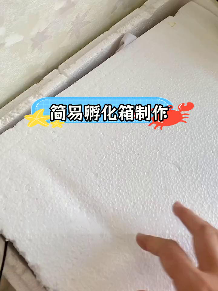 自制孵化箱的制作方法图片