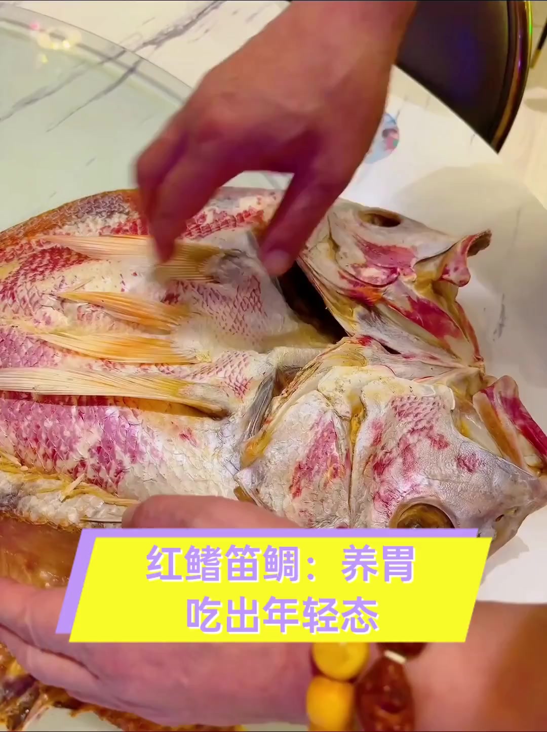 红鳍笛鲷养胃吃出年轻态