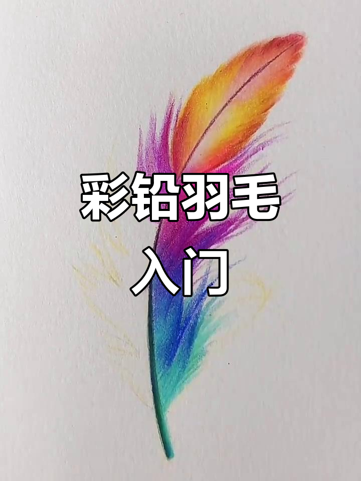 梦幻羽毛彩铅教程,零基础也能轻松上手