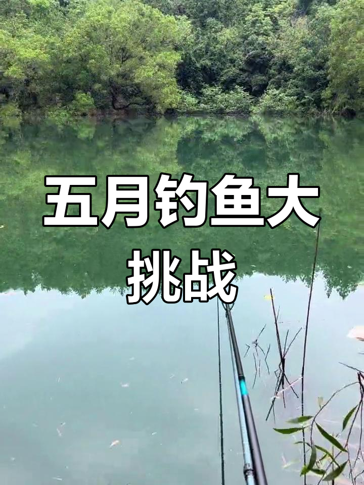 探钓梅州益塘水库,五月涨水后土鲮鱼情如何?