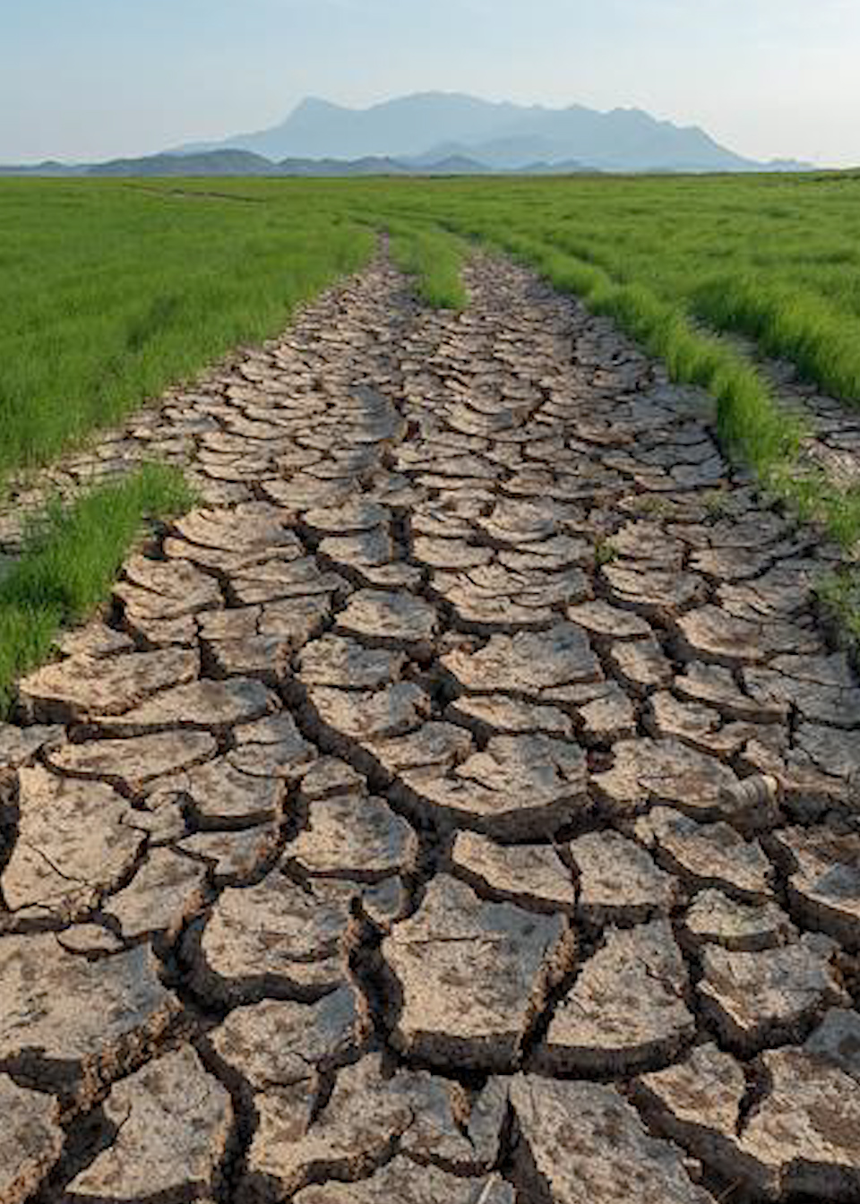 水利部:未来一周汛情,旱情叠加形势严峻