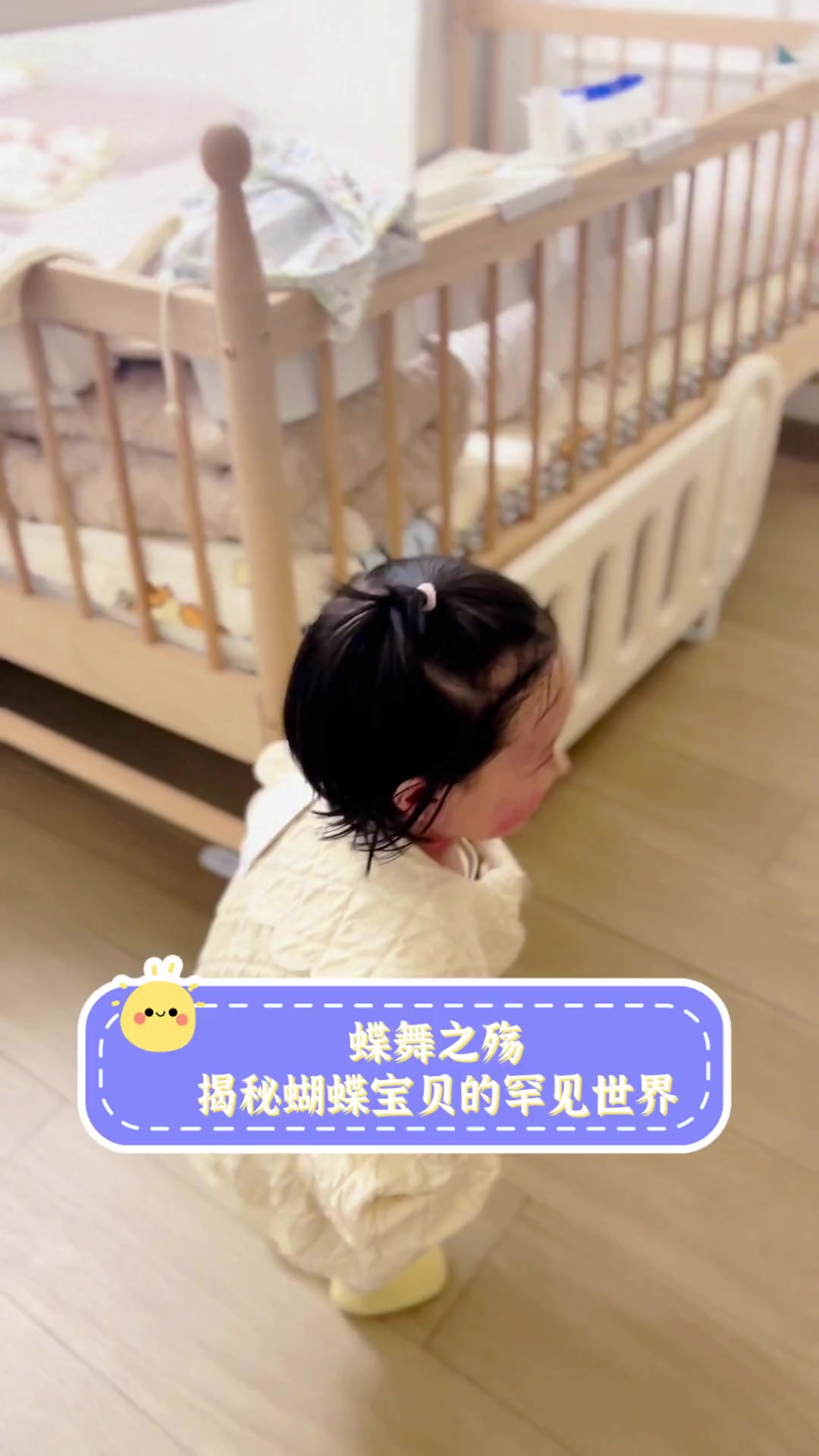 蝶舞之殇,揭秘蝴蝶宝贝的罕见世界