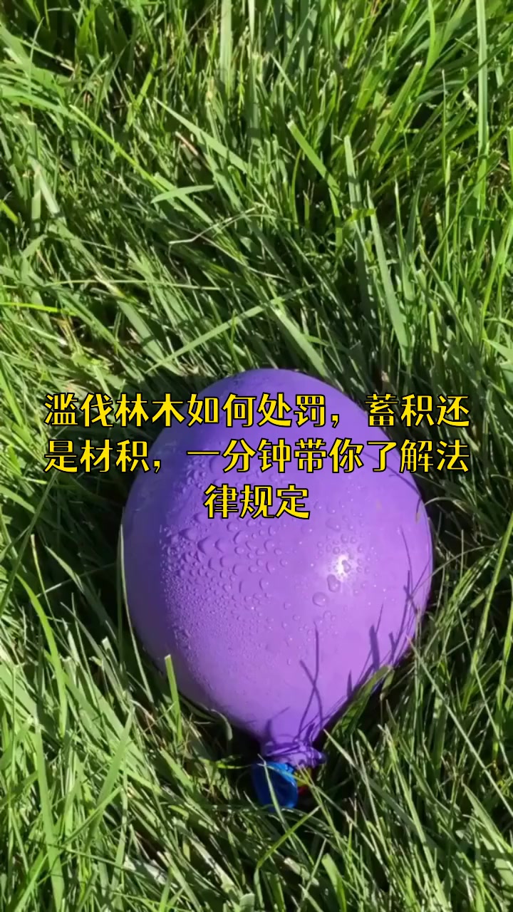 滥伐林木处罚是以蓄积还是材积来处罚的