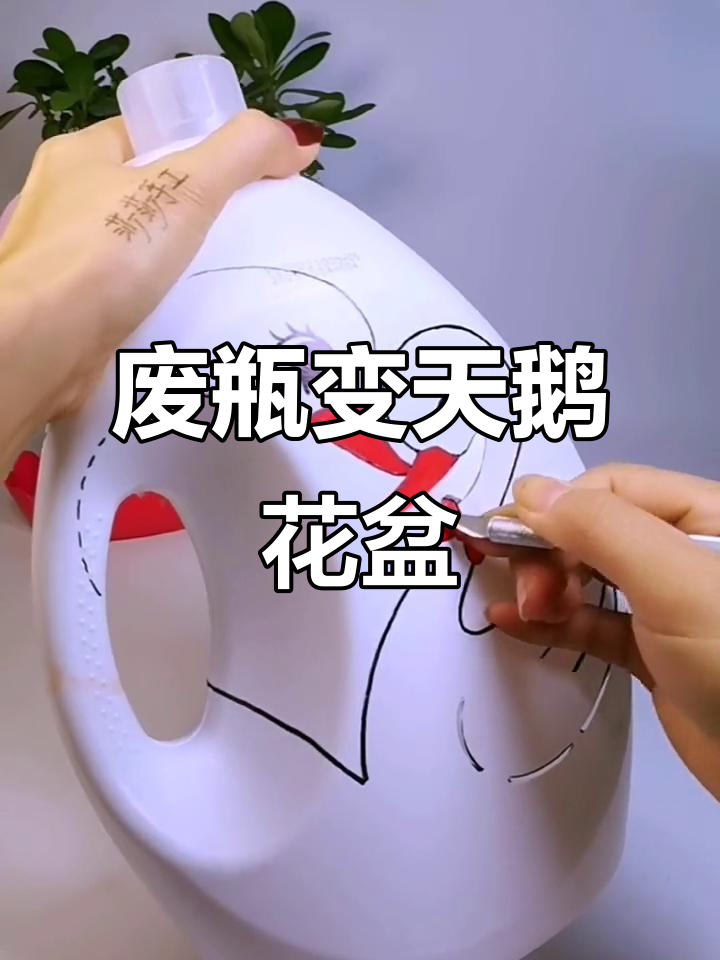 利用废旧洗衣液瓶diy天鹅花盆,创意十足超简单