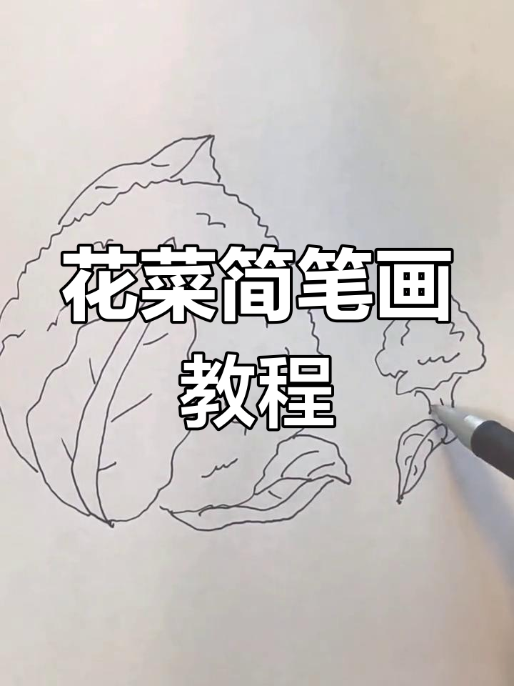 花菜笔画图片