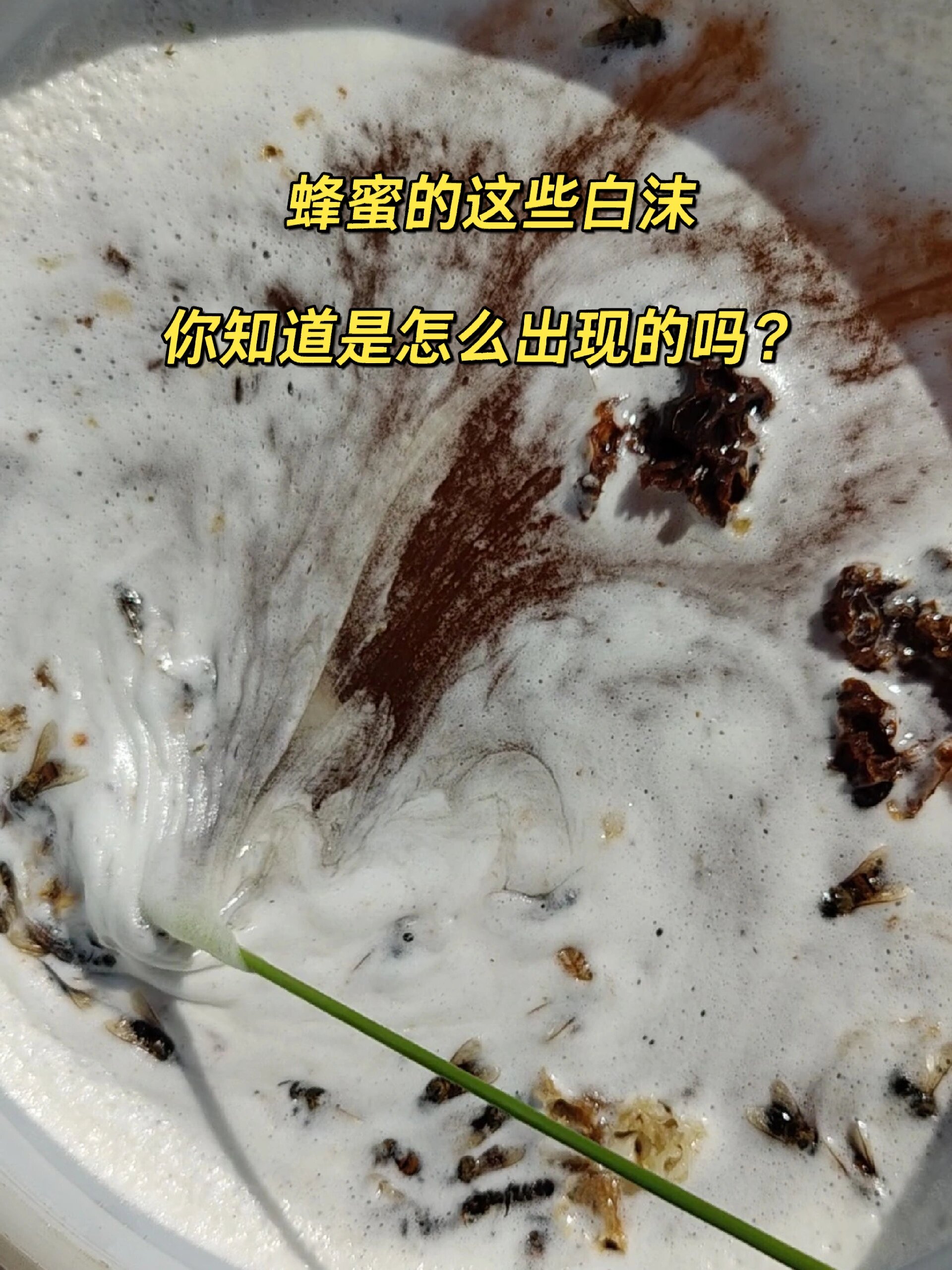 蜂蜜放长时间发白色的东西(蜂蜜放时间长了有白色沉淀物) 蜂蜜放长时间发白色的东西(蜂蜜放时间长了有白色沉淀物)