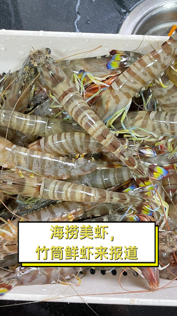 海捞美虾,竹筒鲜虾来报道