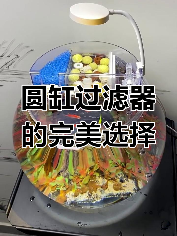 圆形鱼缸必备过滤器,静音又美观