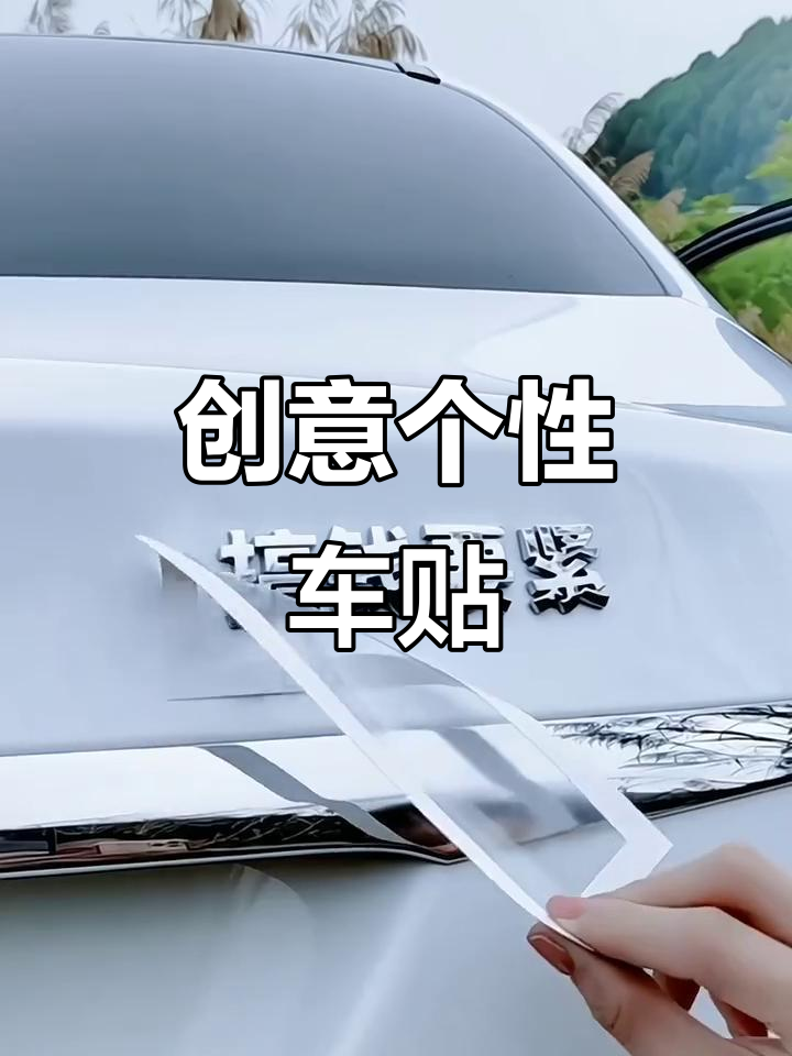 个性车贴大赏:创意满满,网红必备
