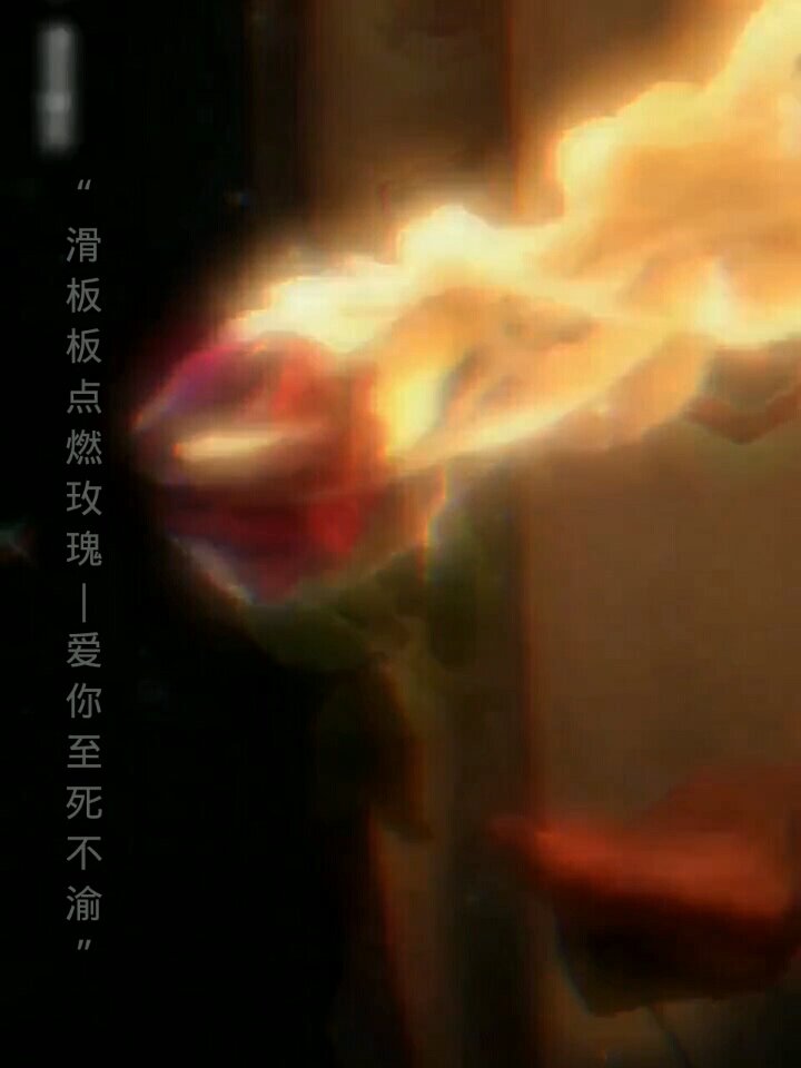 "滑板点玫瑰——爱你至死不渝"