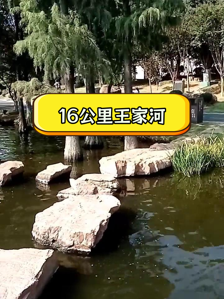 岳阳王家河简介图片