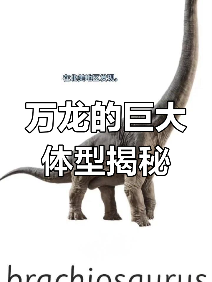 侏罗纪巨兽万龙:草食恐龙的王者