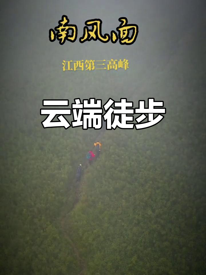 在海拔2100米,寒风中穿越竹林,云海如画