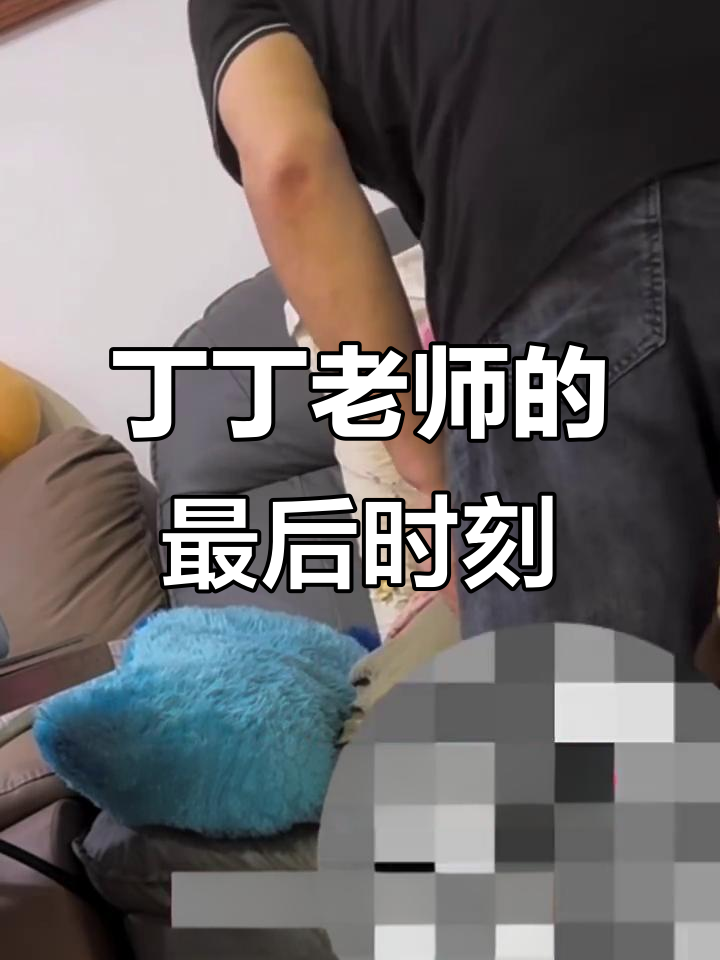 丁丁老师倒计时,痛心告别!