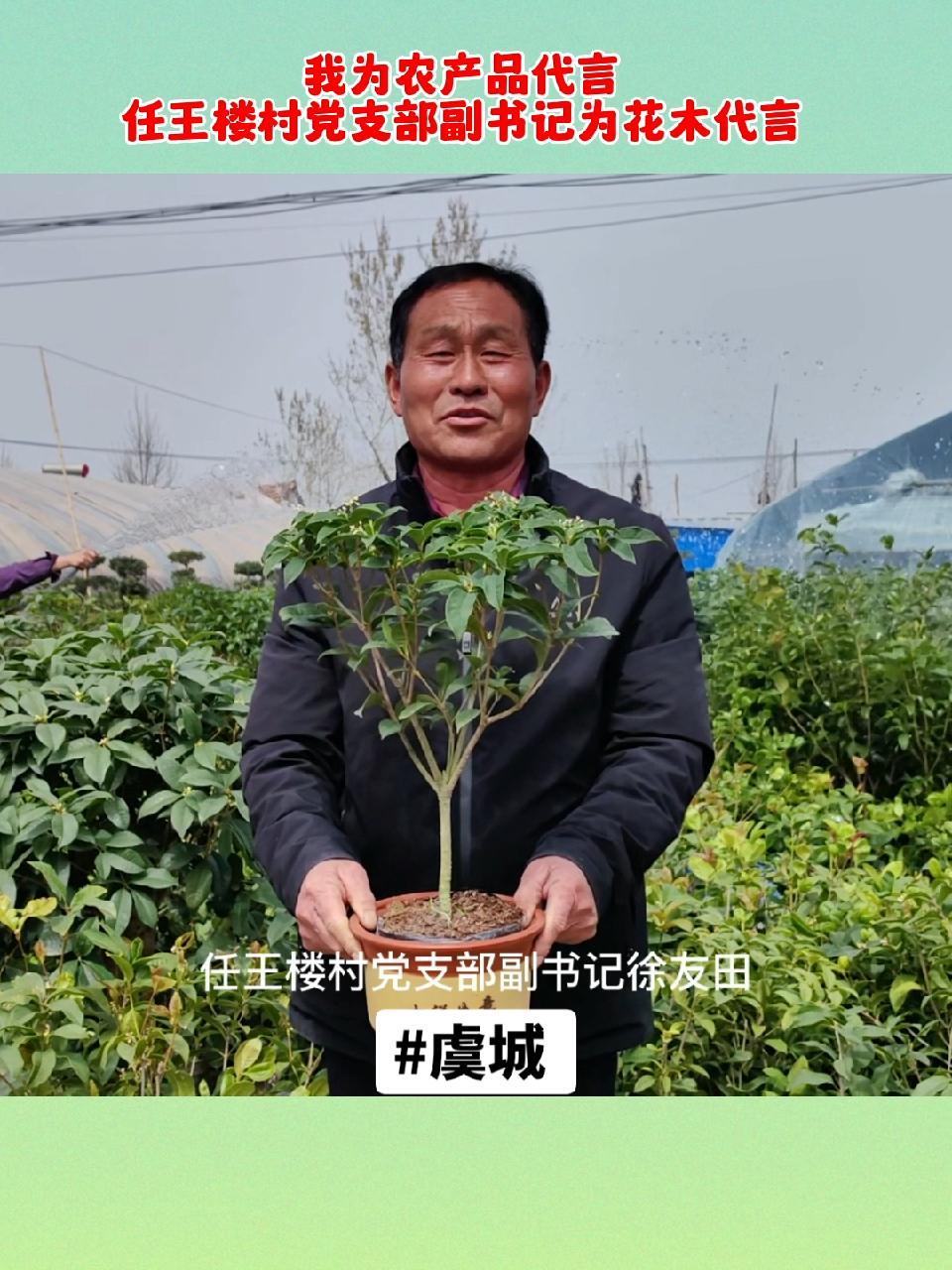 虞城 我为农产品代言:李老家乡任王楼村 助力乡村振兴 花卉绿植 抖音