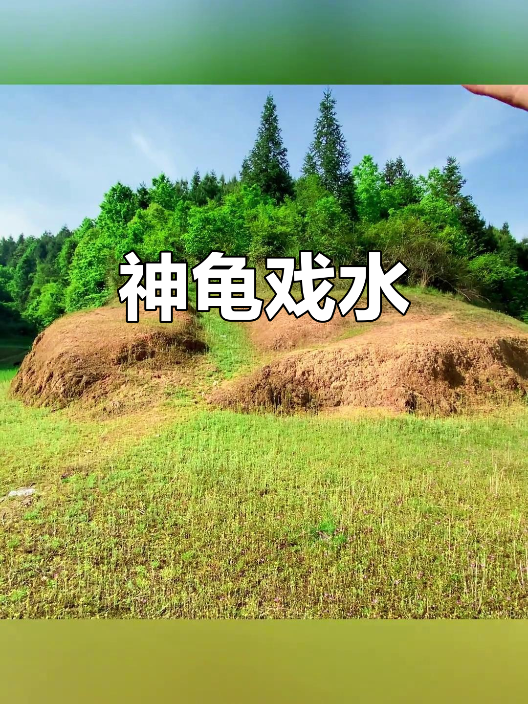 龟戏水:神龟细水流淌,山野自然美景尽显