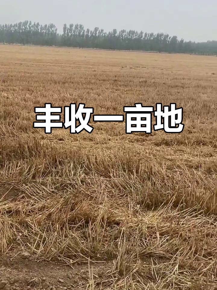 一亩地赚一百万(专家说一亩地赚几万)