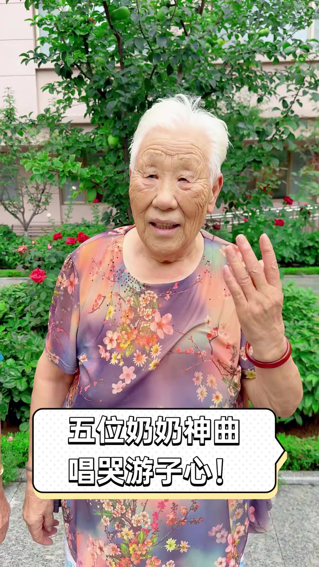 歌曲奶奶(歌曲奶奶伴奏)