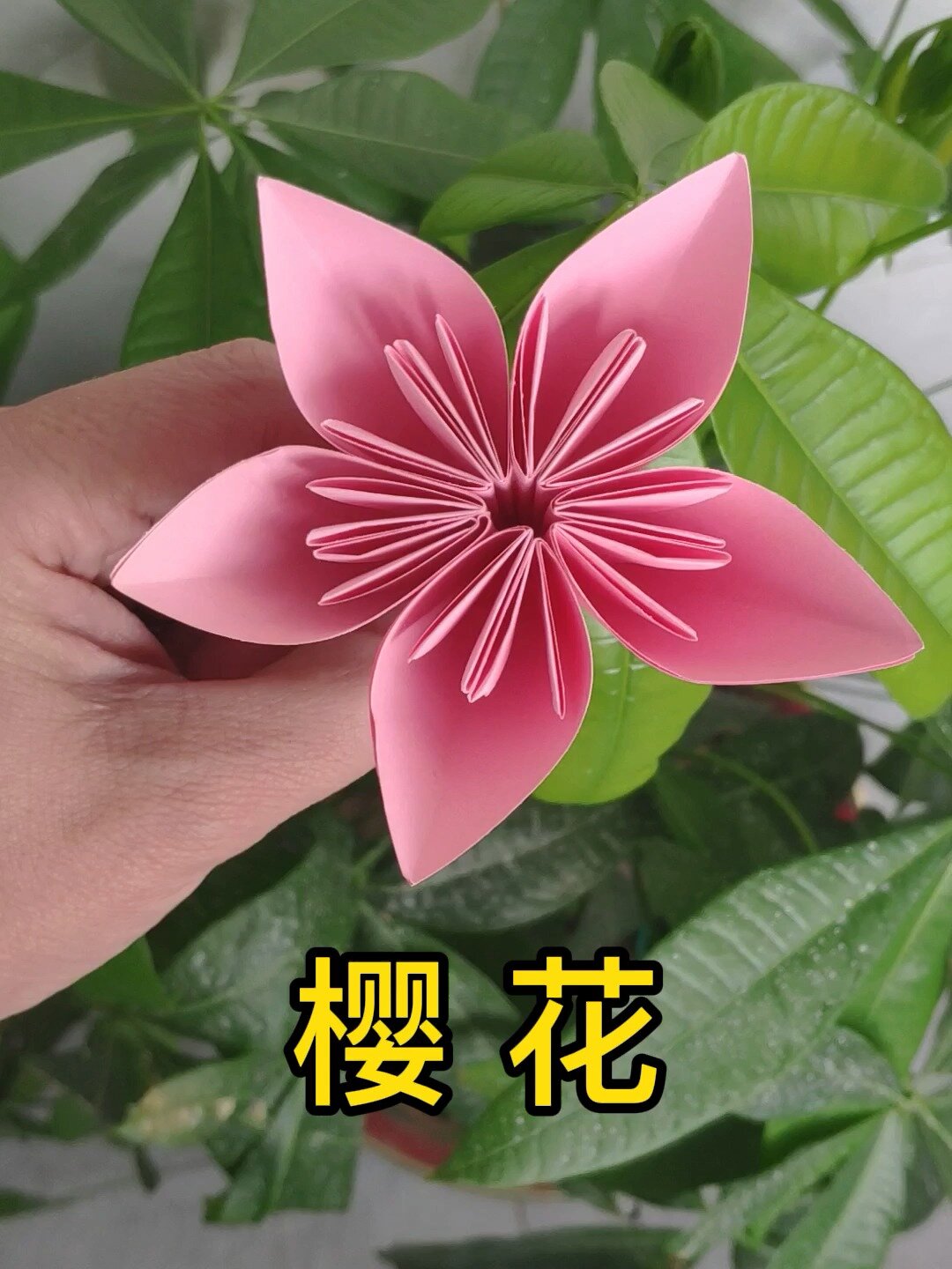 折纸樱花教程