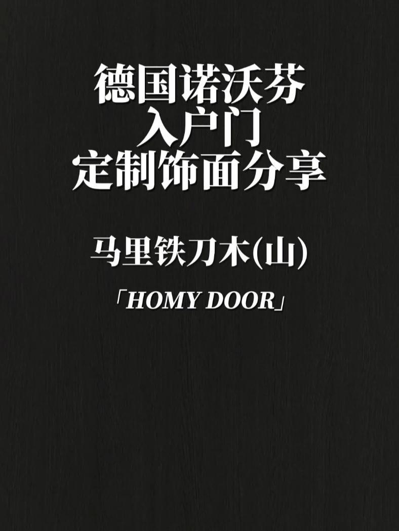 极简平板风格,定制颜色,马里铁刀木(山) 诺沃芬 防盗门 入户门 极简门