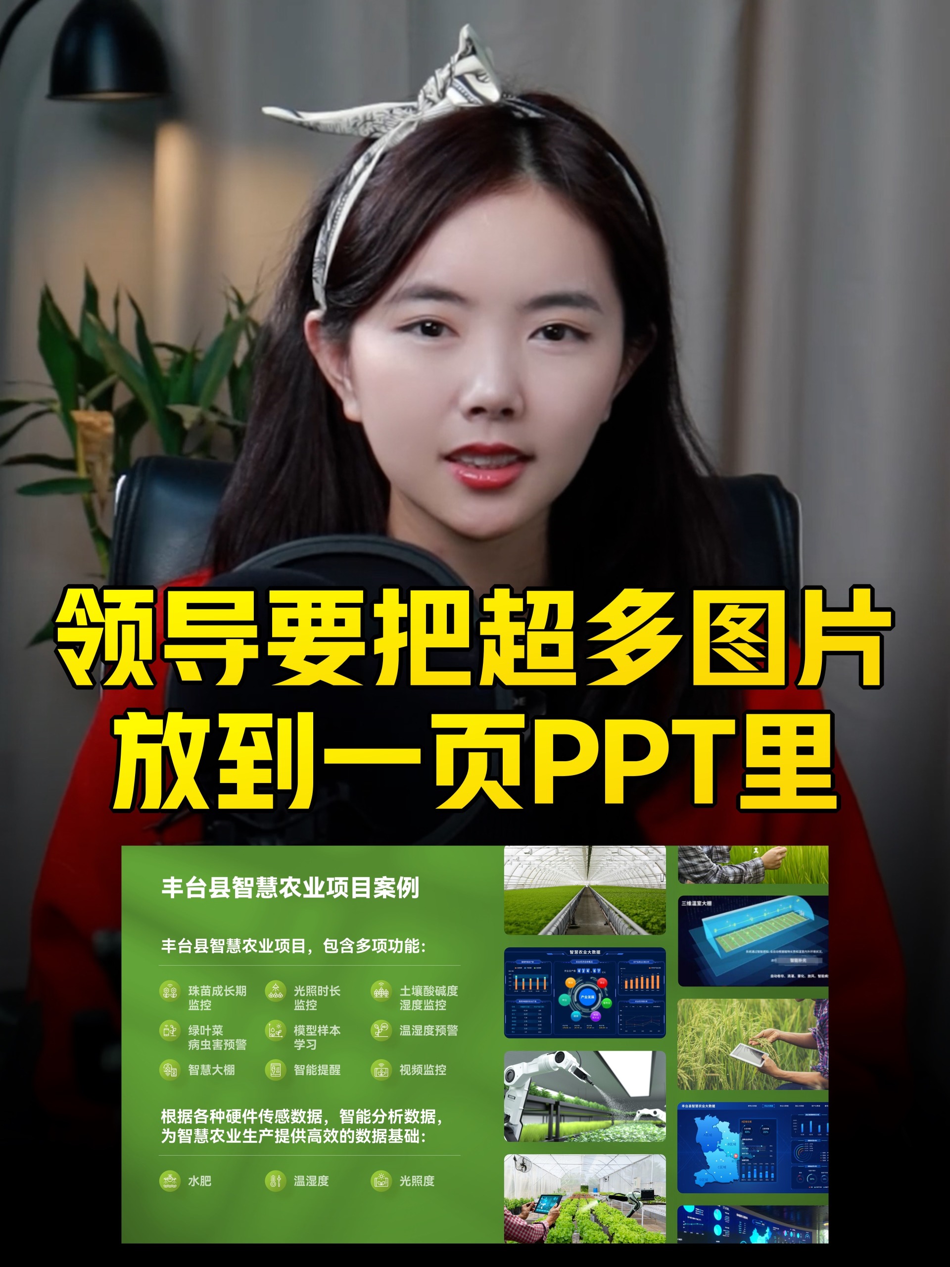 一页ppt图片太多了一招排版搞定