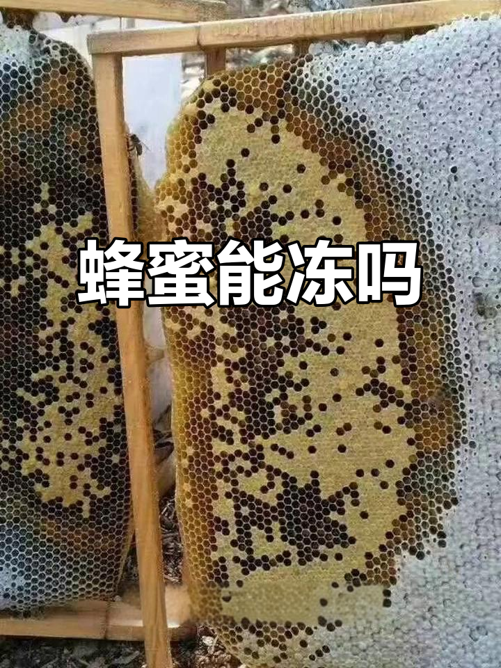 蜂蜜可以冷冻储藏吗(蜂蜜能放冷冻室保存吗)