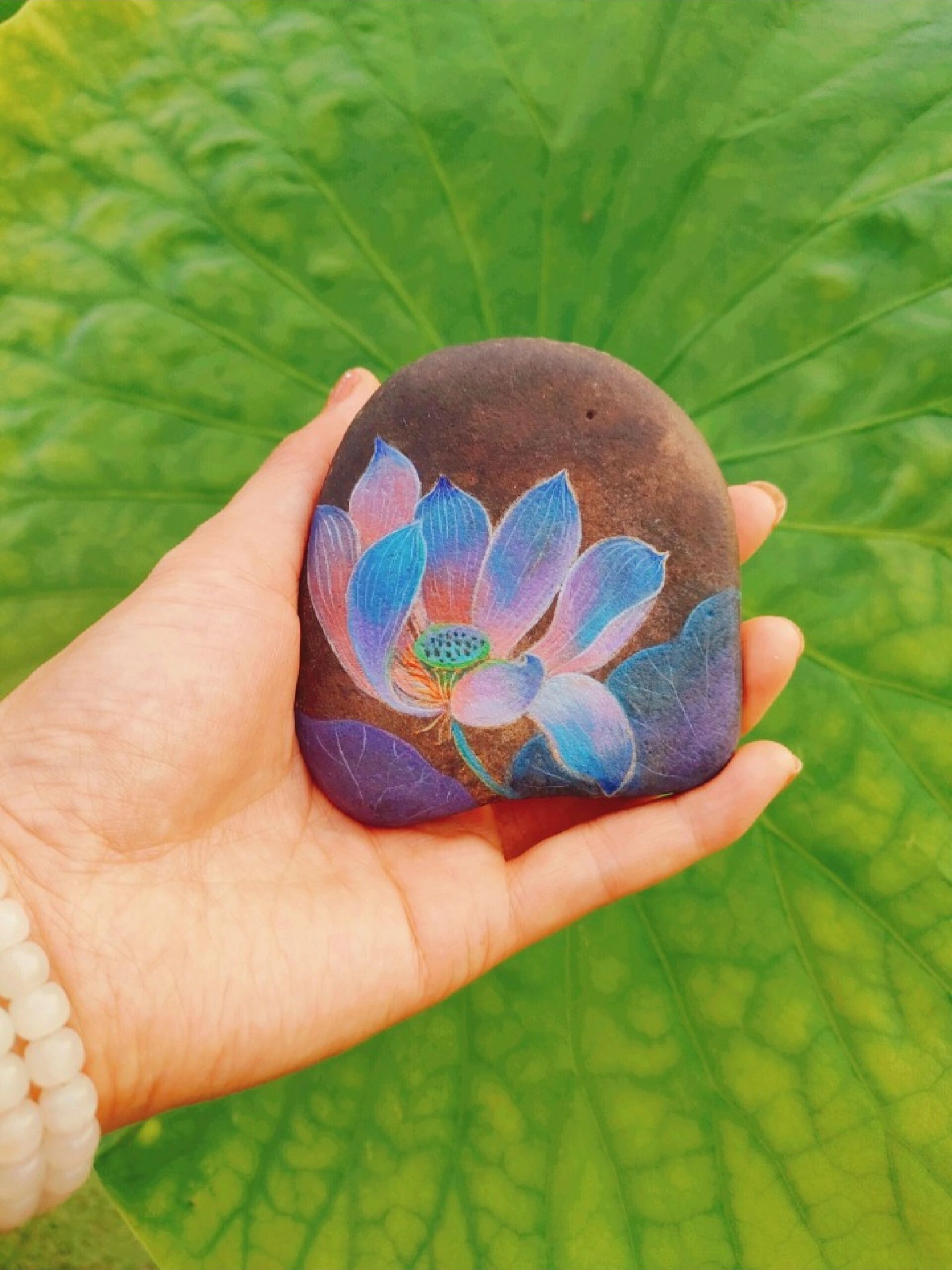 石头画‖荷花