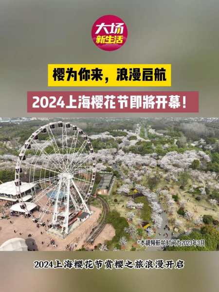 樱为你来浪漫启航2024上海樱花节即将开幕上海顾村公园的第一波早樱初